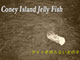 Coney Island Jelly Fish-サイトを持たない女の子たち-